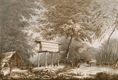 「南の海の景色」パブのフオハイネのモライに奉納する司祭の首長のトパパオ。 1789 作： John Webber